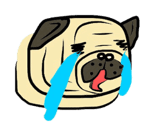 Pugsaku sticker #167909