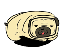 Pugsaku sticker #167925