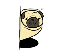 Pugsaku sticker #167927