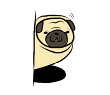 Pugsaku sticker #167927
