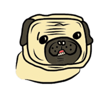 Pugsaku sticker #167935