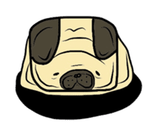 Pugsaku sticker #167937