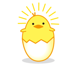 Chick 100% sticker #168942