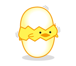 Chick 100% sticker #168943
