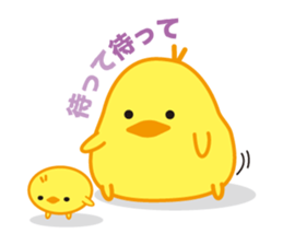 Chick 100% sticker #168964