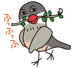 java sparrow funny stamp sticker #171275