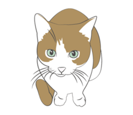 The Feelings of a nuko sticker #171380