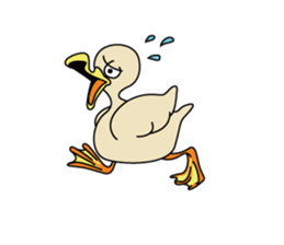 Rii's duck sticker #172602