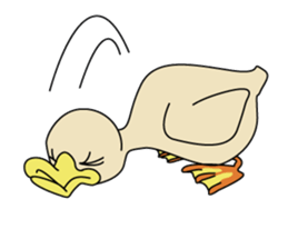 Rii's duck sticker #172620