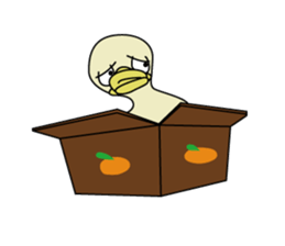 Rii's duck sticker #172621
