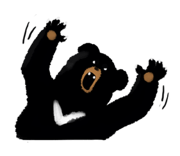 BLACK BEAR sticker #173002