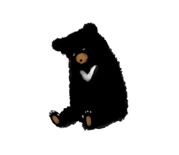 BLACK BEAR sticker #173005