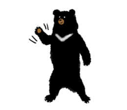 BLACK BEAR sticker #173007