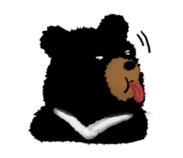 BLACK BEAR sticker #173008
