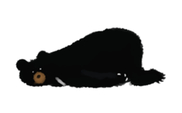 BLACK BEAR sticker #173012