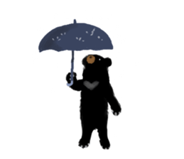 BLACK BEAR sticker #173027