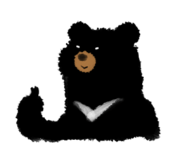 BLACK BEAR sticker #173035