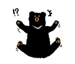 BLACK BEAR sticker #173036