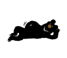 BLACK BEAR sticker #173037