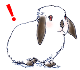 Small Rabbit Story sticker #173336