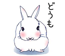 Small Rabbit Story sticker #173341