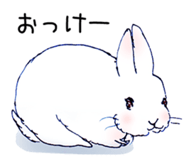 Small Rabbit Story sticker #173342