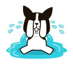 Happy daily life of Ran Ran and Merry sticker #174234