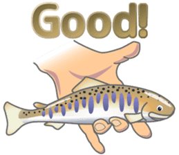 Seema trout and friends. - For anglers. sticker #174873