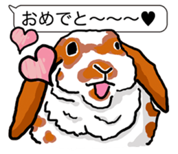 Feelings of Holland Lop Rabbit sticker #175126