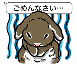Feelings of Holland Lop Rabbit sticker #175131