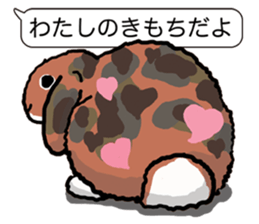 Feelings of Holland Lop Rabbit sticker #175133
