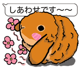 Feelings of Holland Lop Rabbit sticker #175134