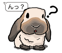 Feelings of Holland Lop Rabbit sticker #175135