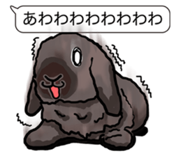 Feelings of Holland Lop Rabbit sticker #175140