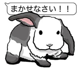 Feelings of Holland Lop Rabbit sticker #175142