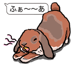 Feelings of Holland Lop Rabbit sticker #175148
