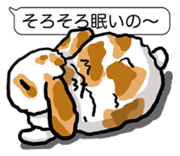 Feelings of Holland Lop Rabbit sticker #175152
