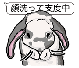 Feelings of Holland Lop Rabbit sticker #175155