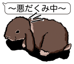 Feelings of Holland Lop Rabbit sticker #175160