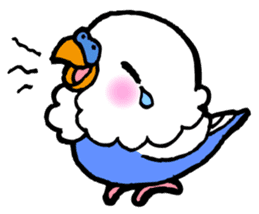 Kawainko (budgerigars) sticker #175651