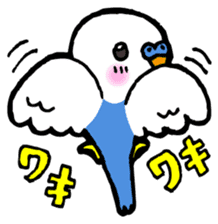 Kawainko (budgerigars) sticker #175663