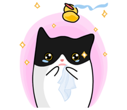 They Call Me Meaow sticker #176223