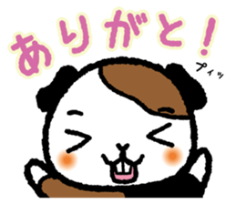 Guinea pig "HIMAWARI" sticker #178442