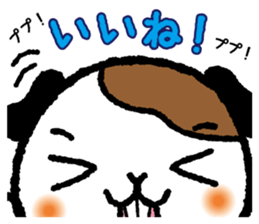 Guinea pig "HIMAWARI" sticker #178446
