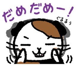 Guinea pig "HIMAWARI" sticker #178459