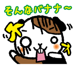Guinea pig "HIMAWARI" sticker #178476
