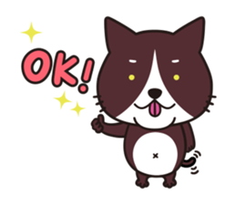 acko