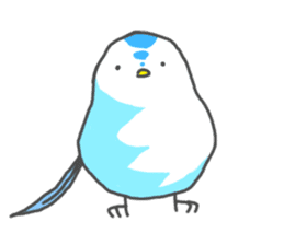 Shimadori sticker #179961