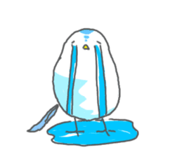 Shimadori sticker #179984