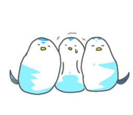 Shimadori sticker #179991